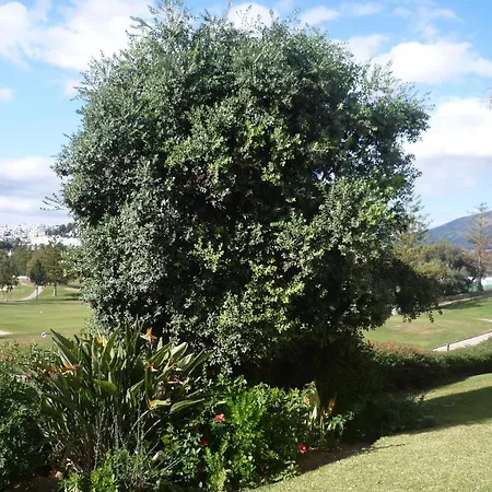 Apartment Beautiful With Golf & Views Mijas Golf